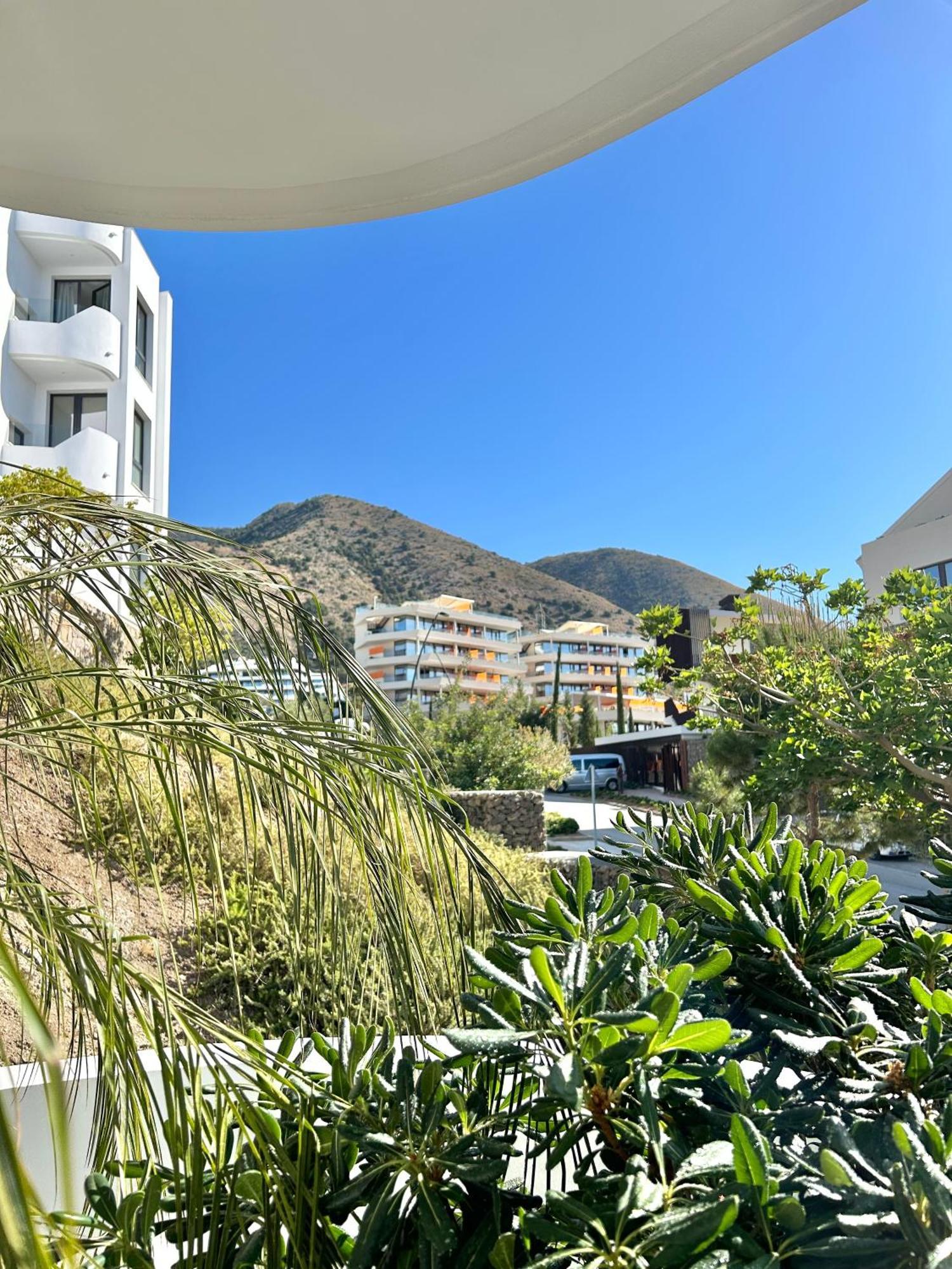 Modern Pedro, Higueron Reserve